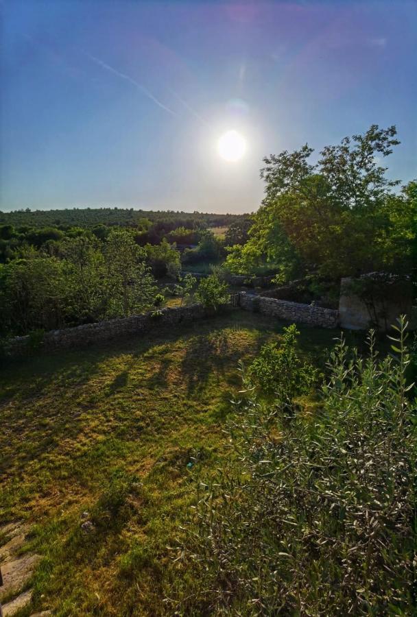 Villa Dvori Dida Mile Sveti Petar  Exterior foto