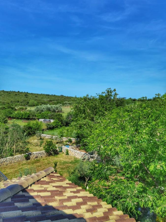 Villa Dvori Dida Mile Sveti Petar  Exterior foto
