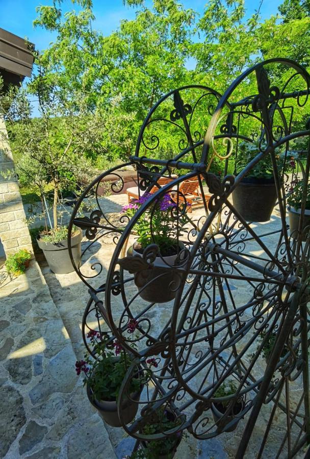 Villa Dvori Dida Mile Sveti Petar  Exterior foto